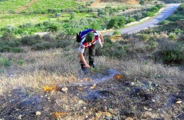 Turgutlu'da Makilik Alan Ve Üzüm Bağı Yandı