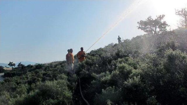 Turgutlu'da Makilik Alan Ve Üzüm Bağı Yandı