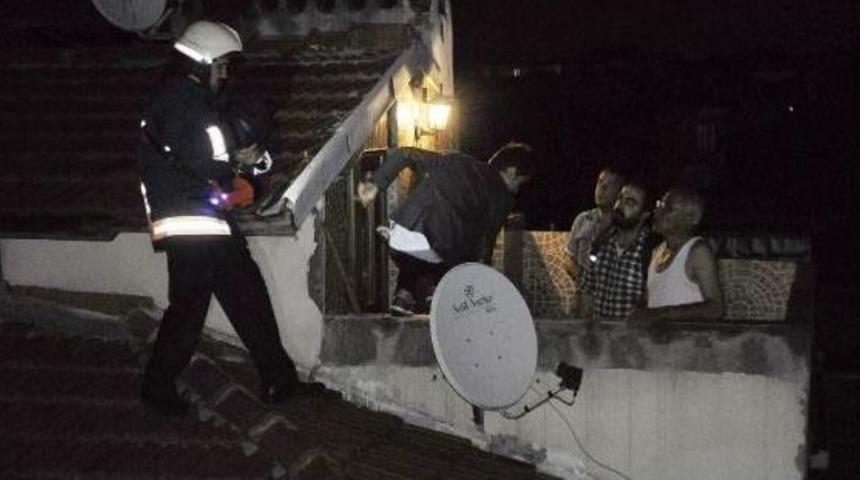 Fatih'te Yaralı Martı Seferberliği