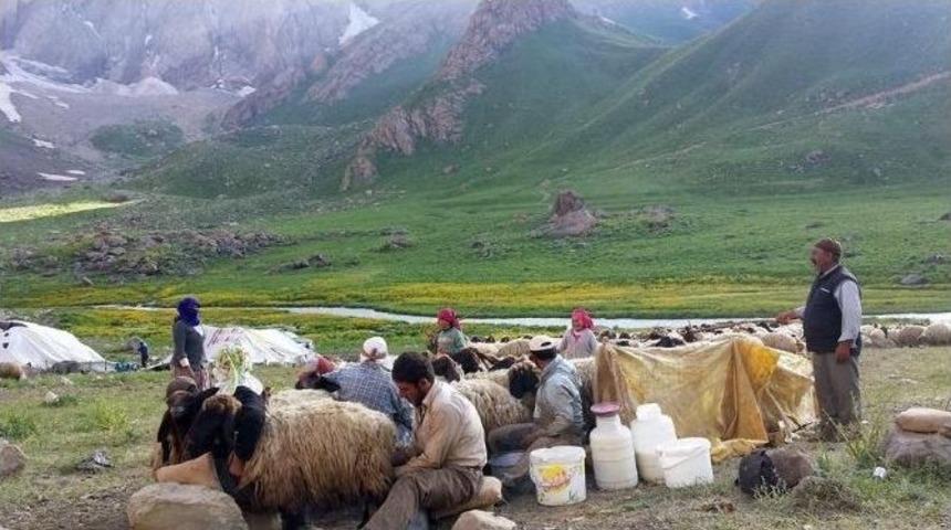 &Ccedil;&ouml;z&uuml;m S&uuml;reci Hakkari Y&ouml;resine Hayat Veriyor
