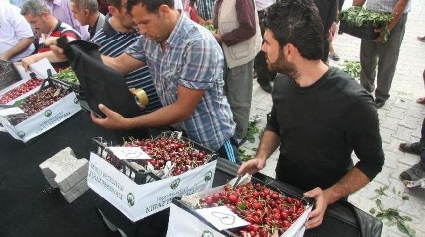 11. Yeşilli Uluslararası Kiraz Ve K&uuml;lt&uuml;r Festivali Başladı