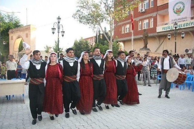 11. Yeşilli Uluslararası Kiraz Ve Kültür Festivali Başladı