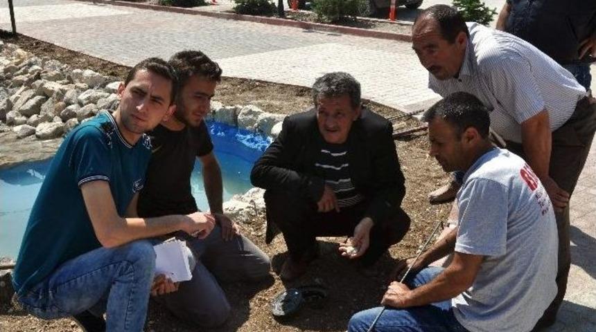 Havuz Vanasına Taş
