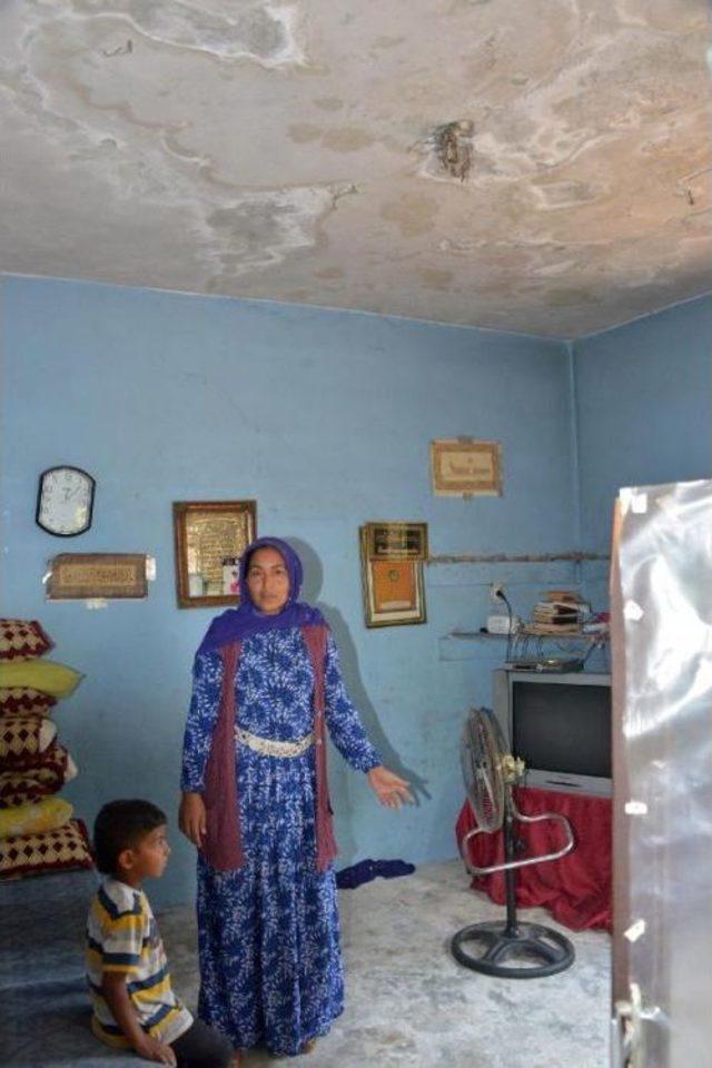 Bel Fıtığı Olan Hamal, Başka Iş Arıyor 1