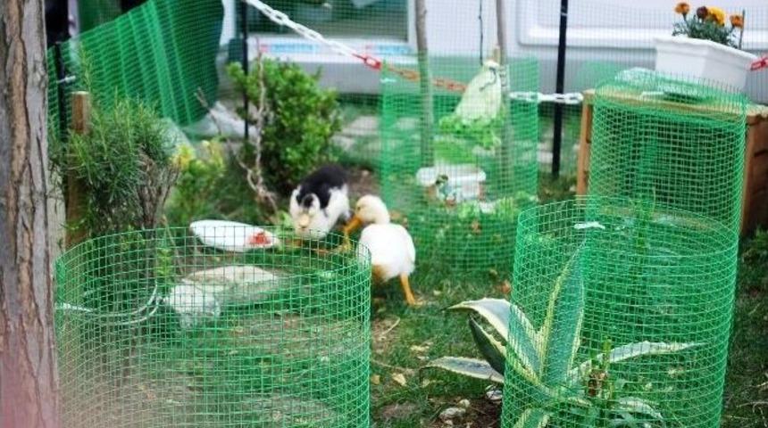 Gen&ccedil; Sporcular Kahvaltıda Buluştu