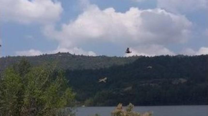 Manavgat&rsquo;ta 500 Keklik Doğa İle Buluştu