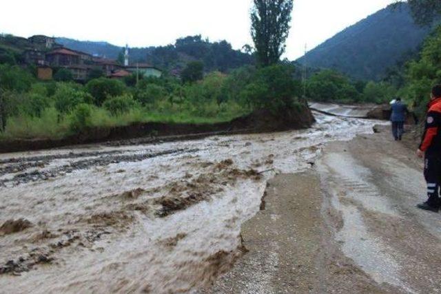 Bilecik'in Tozman Köyü Sel Sularına Teslim Oldu