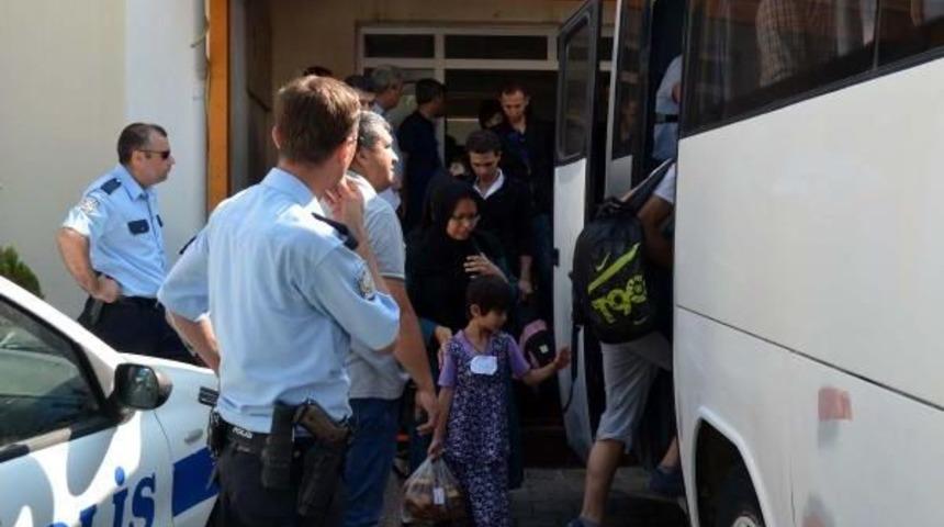 Gelibolu'da &Uuml;&ccedil; Minib&uuml;ste 83 Kacak Yakalandı