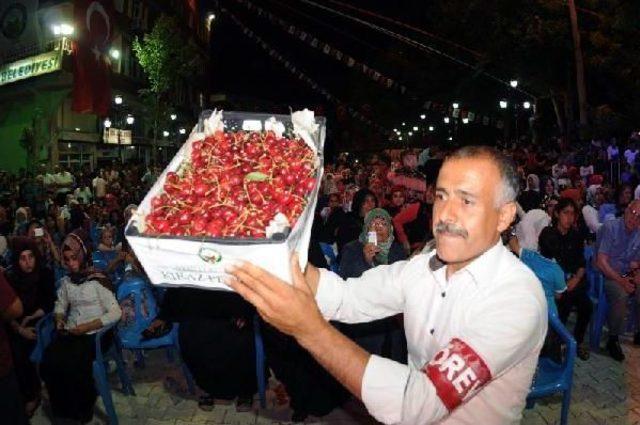 Mardin'de Kiraz Festivali Coşkusu