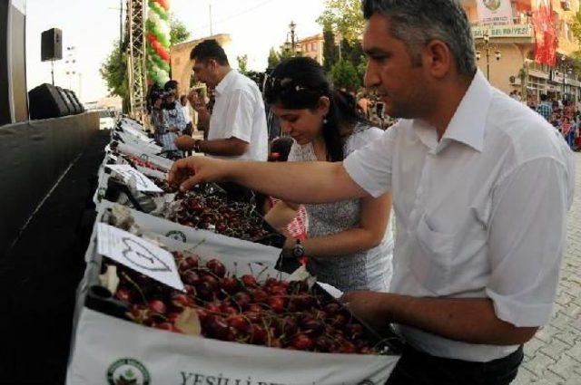 Mardin'de Kiraz Festivali Coşkusu