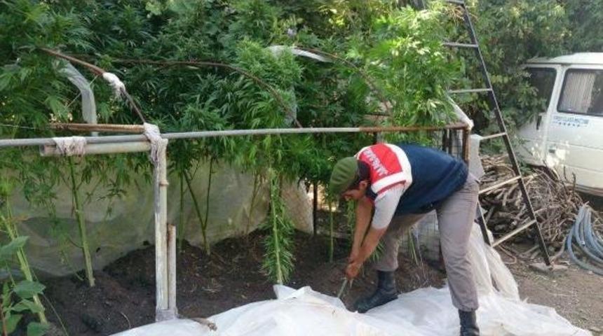 Marmaris'te Evde Hintkeneviri Ve Esrar Ele Ge&ccedil;irildi