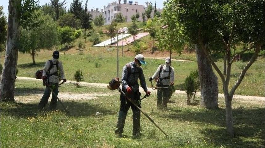 Toroslar&rsquo;da Park Ve Yeşil Alanların Bakım &Ccedil;alışmaları Hızlandı