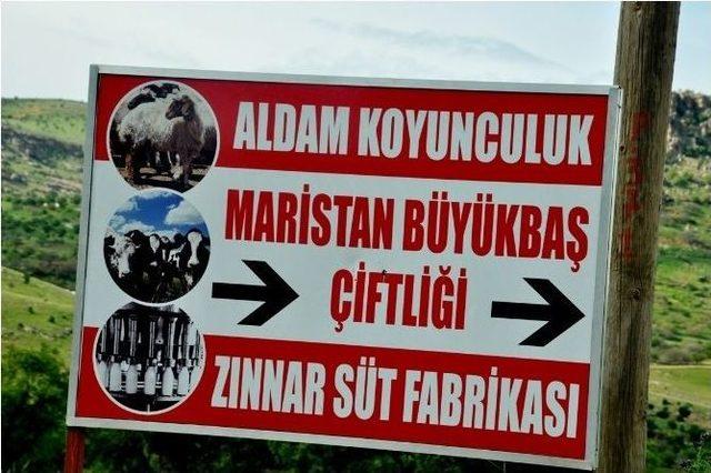 Mardin’de Yeni Bir Süt İşleme Merkezi Kuruluyor