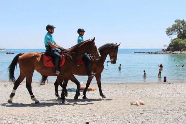 Sahillerde Atlı Jandarma Ile Güvenlik