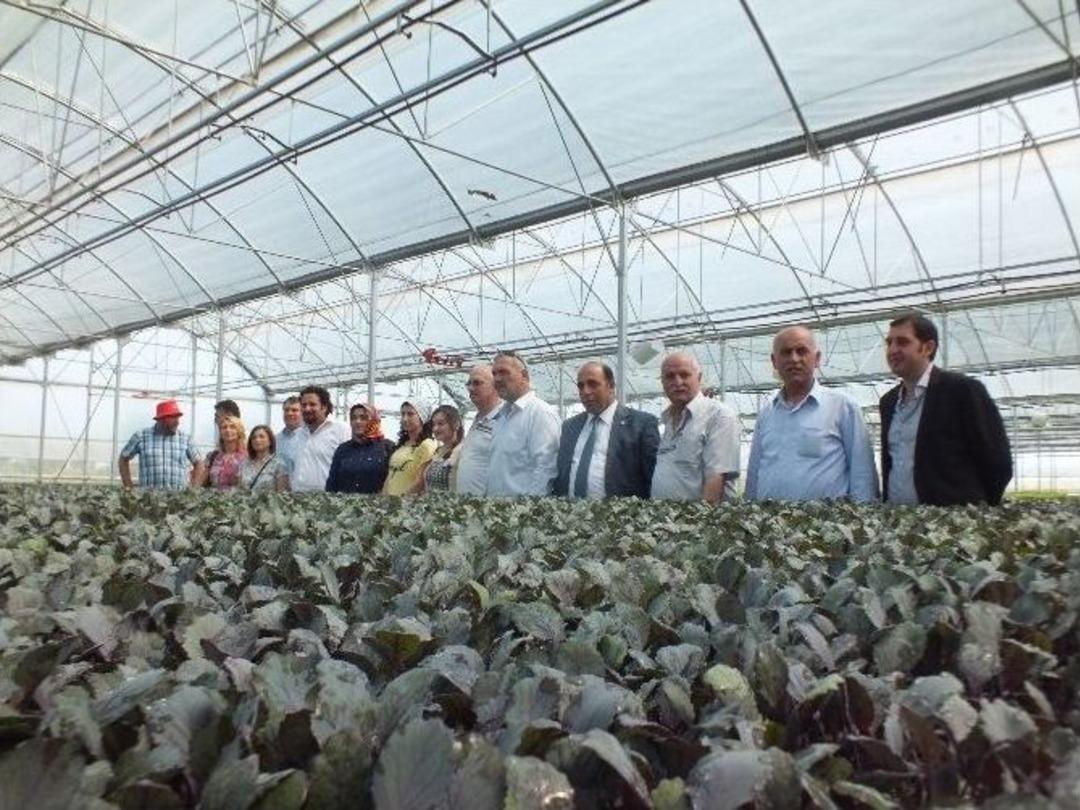 Bafra Ziraat Odası&rsquo;ndan &Uuml;cretsiz Danışmanlık Hizmeti