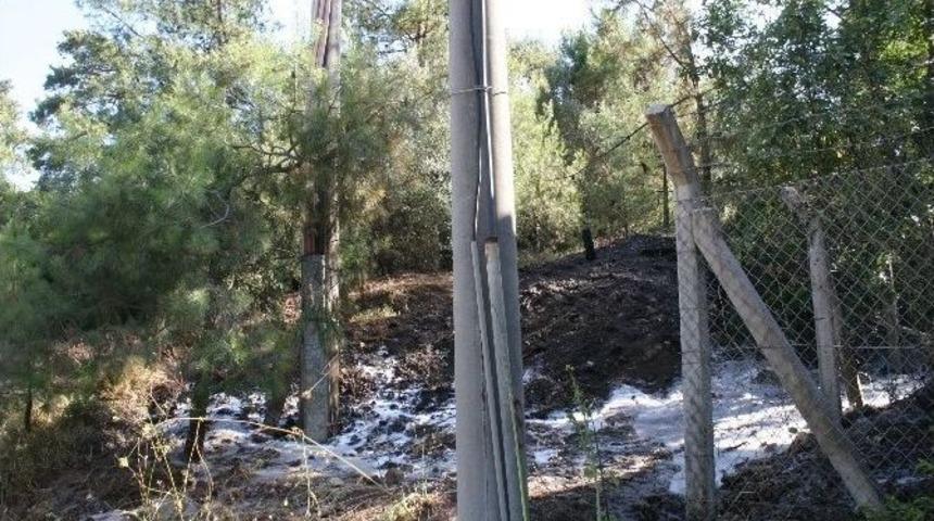 Marmaris’te Çıkan Orman Yangınları Büyümeden Söndürüldü