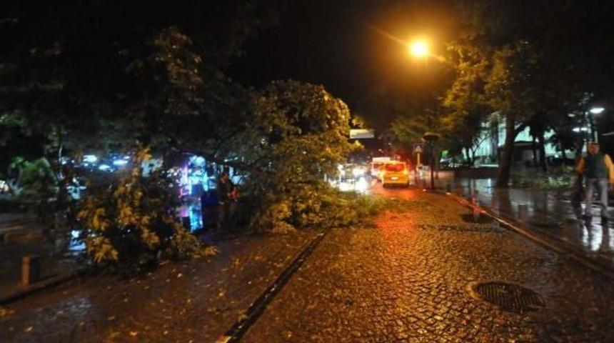 Sağanak Yağış Ve Fırtınada Ağa&ccedil;lar Devrildi, Işyerlerini Su Bastı