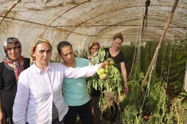 Kocaeli nin Sebze Deposu Bayraktar da Seraları Sel Vurdu 1