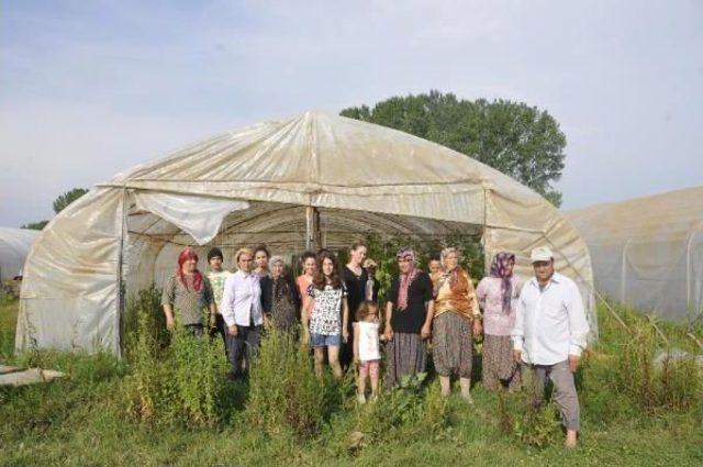 Kocaeli nin Sebze Deposu Bayraktar da Seraları Sel Vurdu 2