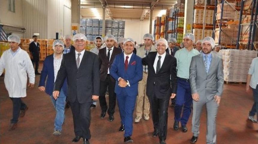 Bizce Yağ İso 500&rsquo;de Rekor Y&uuml;kseliş