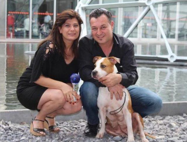 'orca' Adlı Köpek Dünya 3'üncüsü Oldu