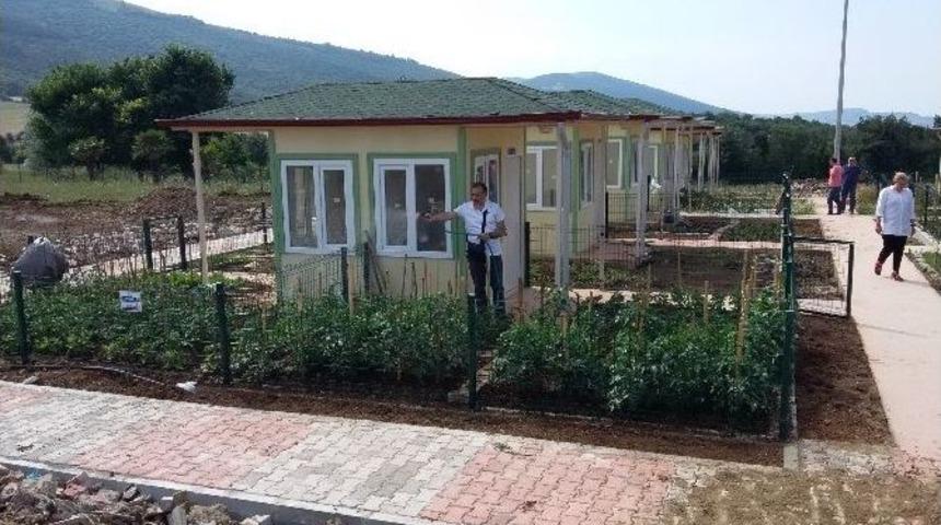 Om&uuml;&rsquo;de &Ouml;ğretim &Uuml;yeleri İ&ccedil;in Hobi Bah&ccedil;esi