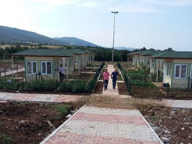 Omü’de Öğretim Üyeleri İçin Hobi Bahçesi 1