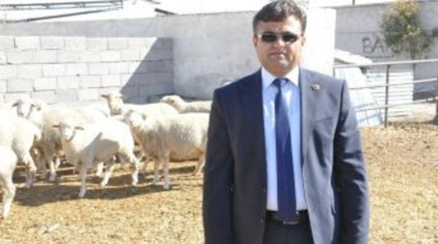 Üreticilere Tarımsal Yayım Ve Danışmanlık Hizmeti