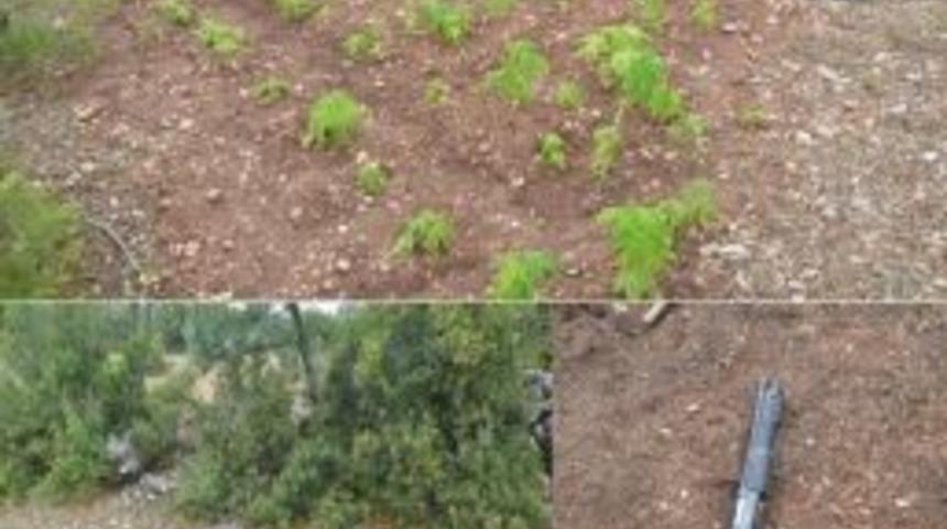 Denizli’de Uyuşturucu Operasyonu: 9 Gözaltı