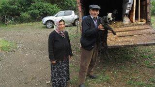 Uğurludağ Kaymakamlığından Karaer Ailesine Keçi Yardımı