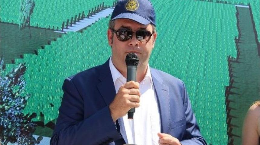 Buca&rsquo;nın &Uuml;z&uuml;mleri Yeniden Hayat Buluyor