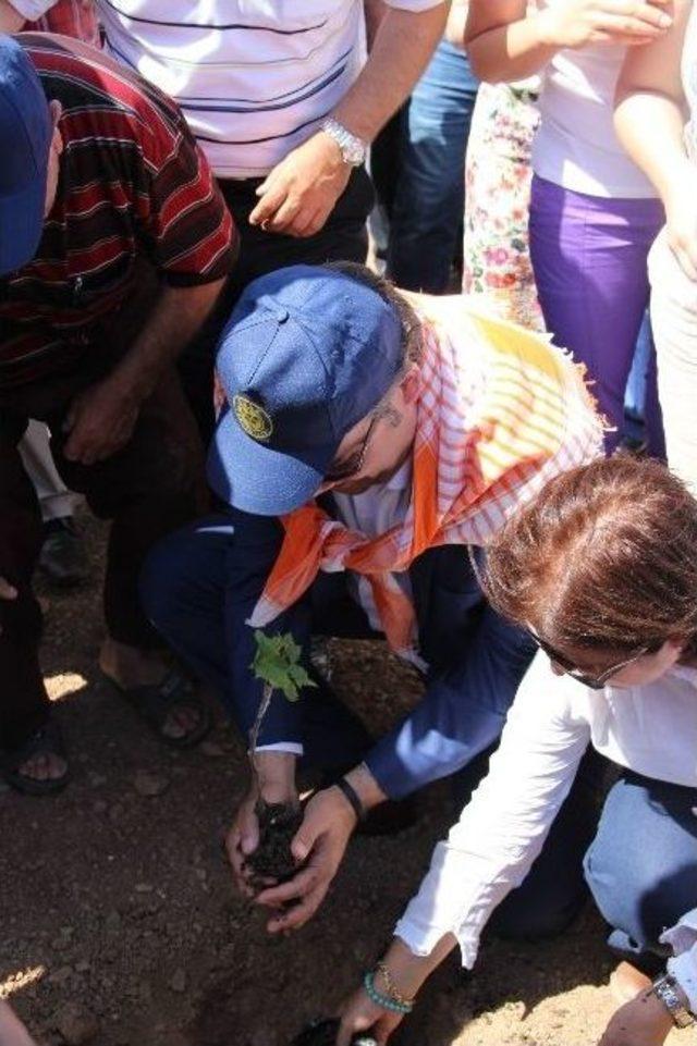 Buca’nın Üzümleri Yeniden Hayat Buluyor 1