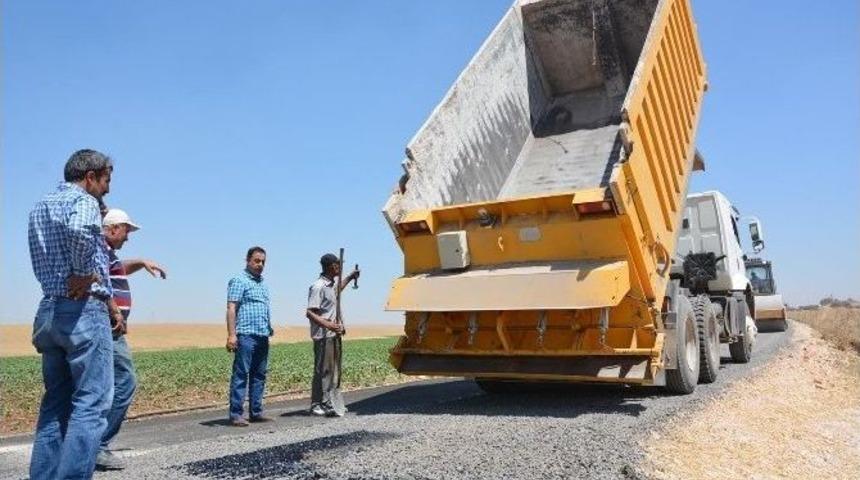 Ceylanpınar&rsquo;da Yol &Ccedil;alışması