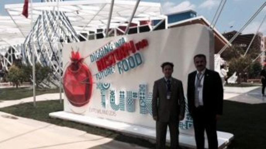 Zeytin Ve Zeytinyağı Milano&rsquo;da Tanıtılacak