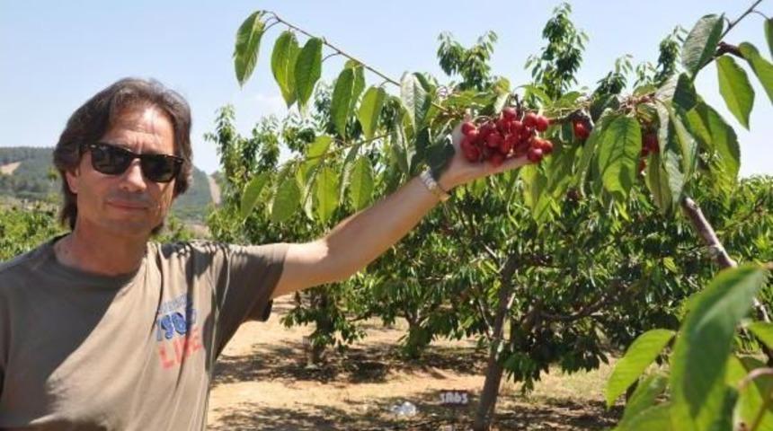 Kıra&ccedil; Araziden Kiraz Cennetine