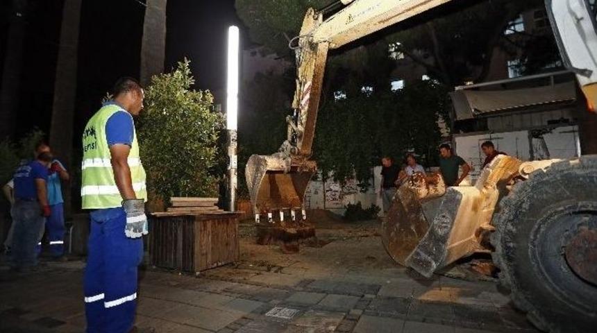 Konak&rsquo;ta Palmiyelere D&uuml;zenleme