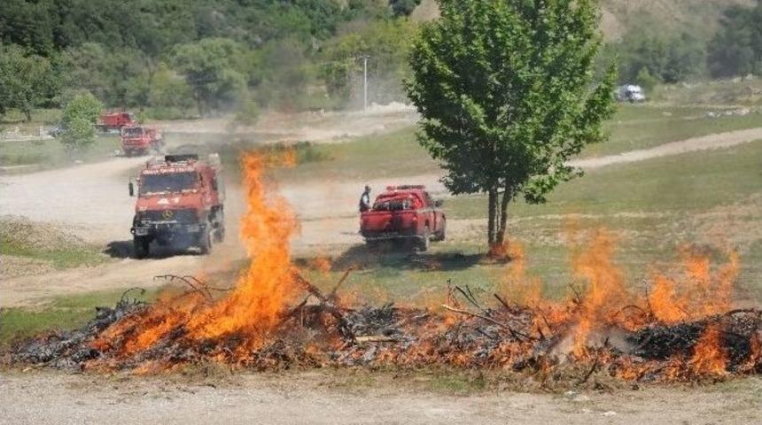 Orman Yangını Tatbikatı Ger&ccedil;eği Aratmadı