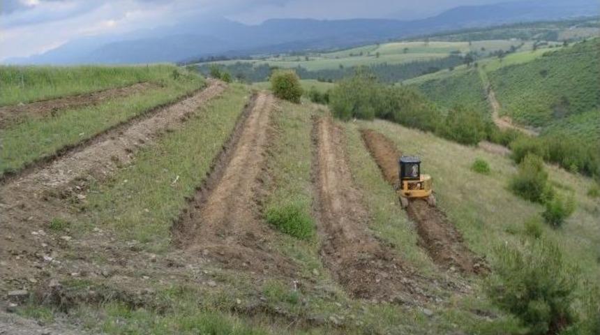 Buror Teras İle Ağa&ccedil;landırma Daha Kolaylaştı