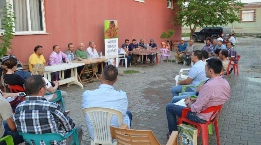 Salihli&rsquo;de Kuru &Uuml;z&uuml;m Seferberliği