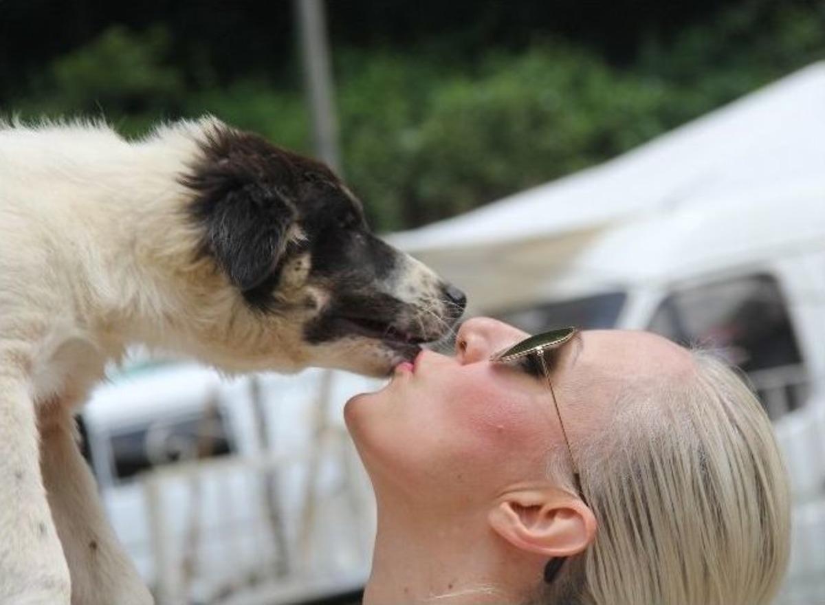 Bayan Noter &Ouml;mr&uuml;n&uuml; Sokak K&ouml;peklerine Adadı