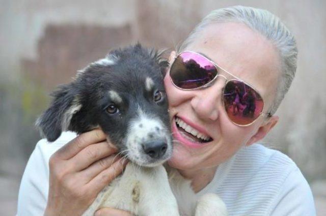 Kadın Noter, Bakımını Yapıp Tedavi Ettiği Sokak Köpeklerini Sahiplendirmeye Başladı