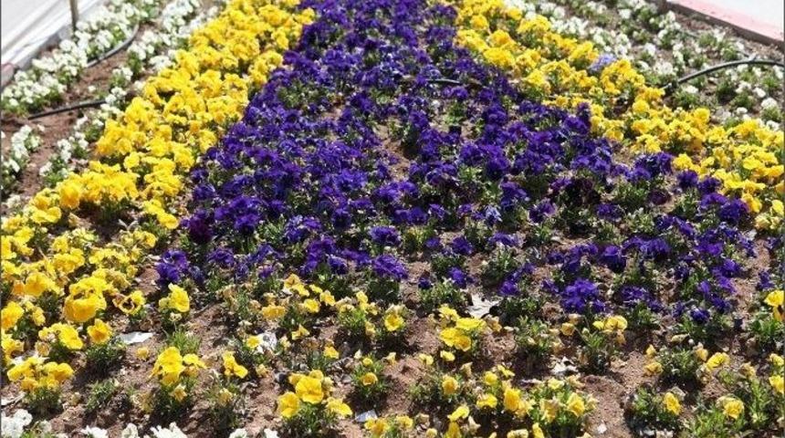 Bolu&rsquo;da Parklara Vatandaşların Yiyebileceği Meyve Ağa&ccedil;ları Dikiliyor