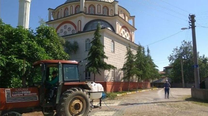 Kartepe&rsquo;de Yabani Ot M&uuml;cadelesi