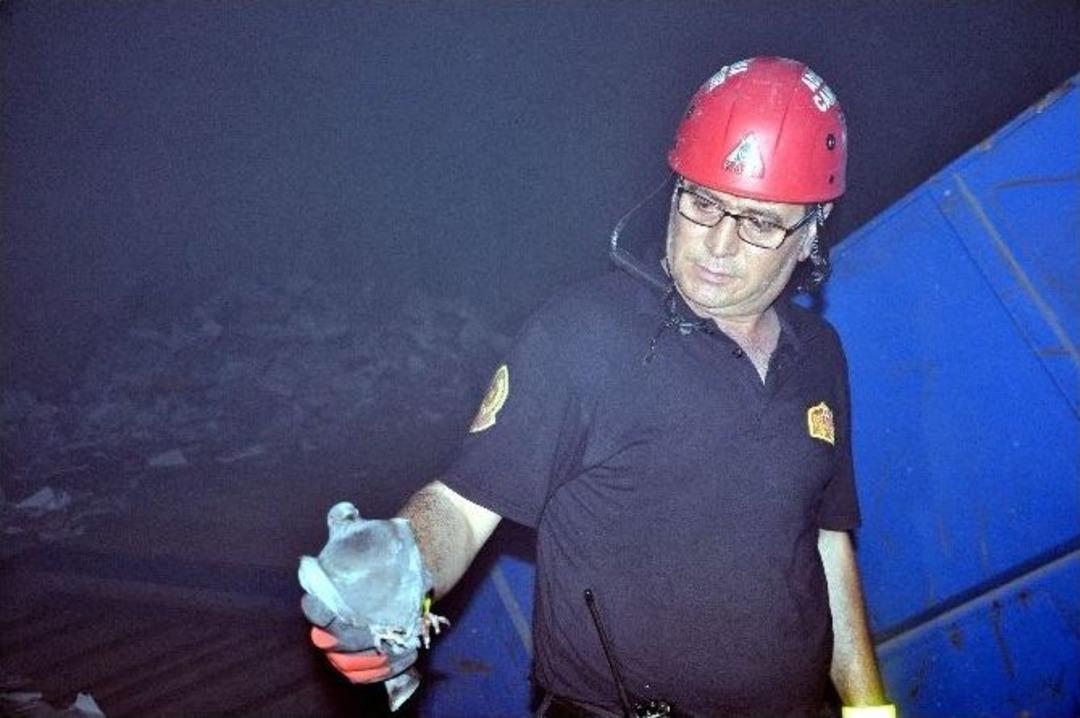 Fabrika Yangınında &Ccedil;ok Sayıda G&uuml;vercin Telef Oldu