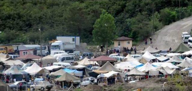 Ordu Valisi: Suriyelilerin Fındık Hasadında Çalıştırılmasını Değerlendiriyoruz