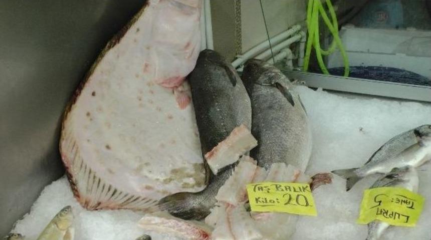 Ramazan Ayında Tezgahlarda Balığa Rağbet Azaldı