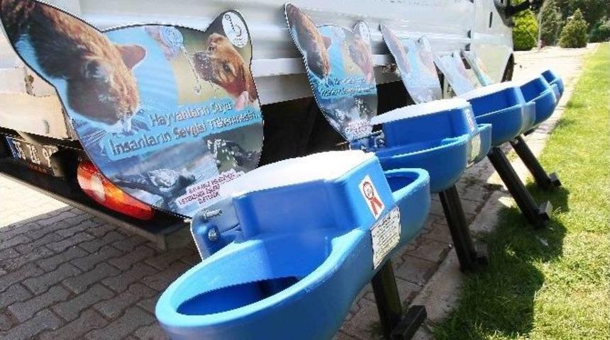 Bayraklı&rsquo;da Sokak Hayvanları Susuz Kalmayacak