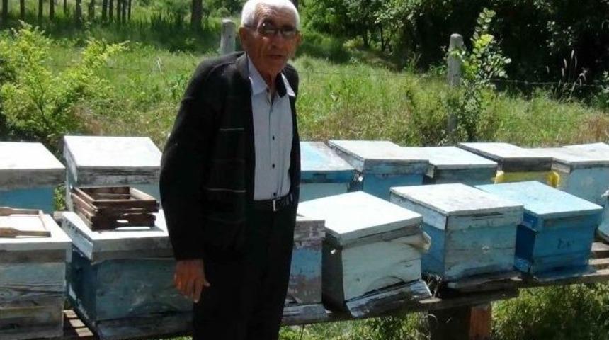 Simavlı Arıcılar 2015&rsquo;den Umutlu