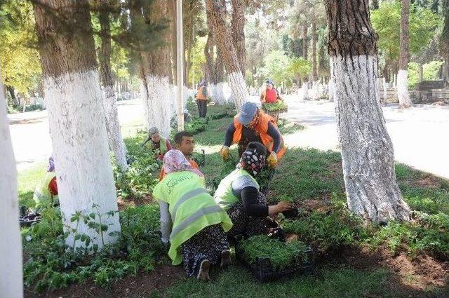 Gaziantep’teki Mezarlıklar Kadınların Ellerinde Çiçek Açıp Yeşilleniyor