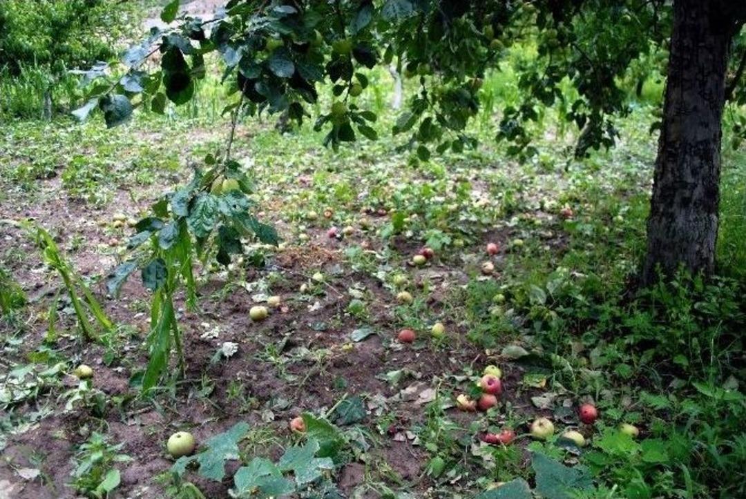 Amasya&rsquo;da Bir Belde Ve 4 K&ouml;y&uuml; Dolu Vurdu